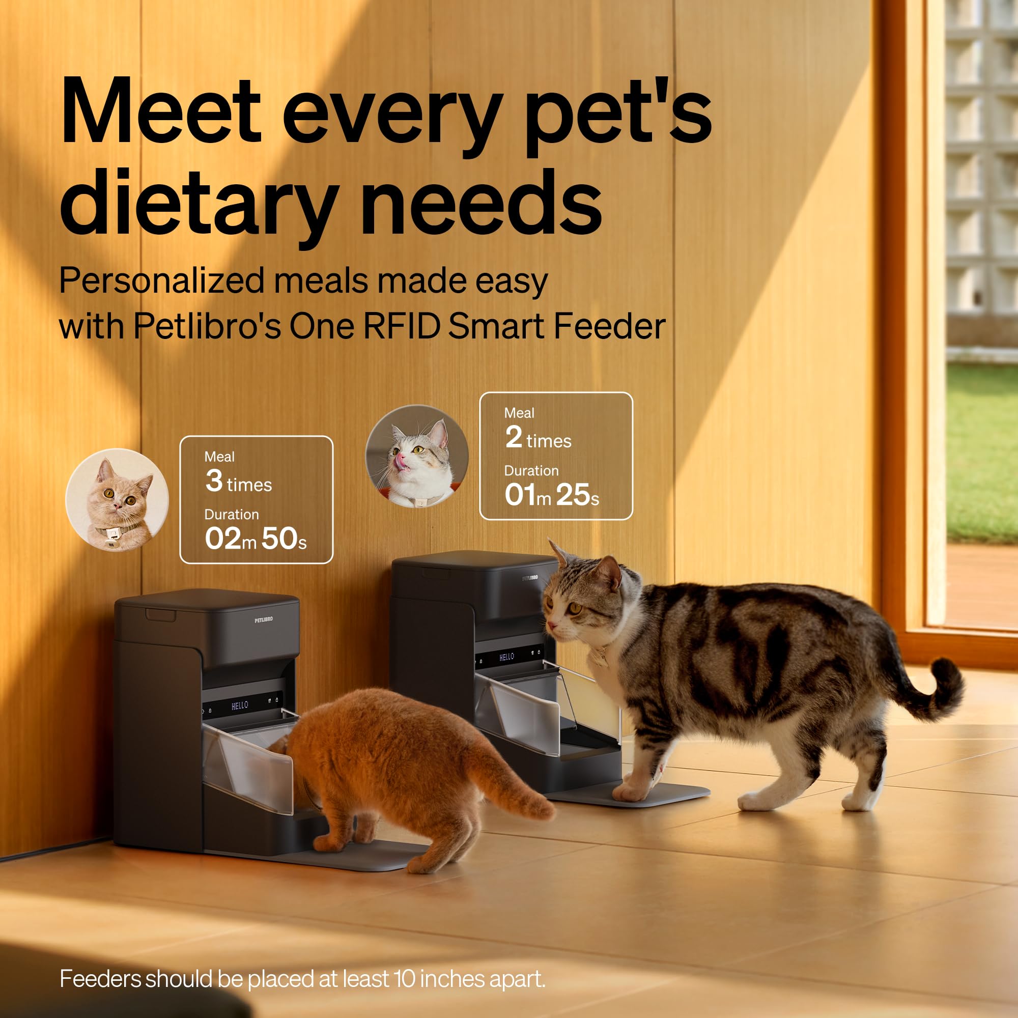 Amazon.com : PETLIBRO RFID Automatic Cat Feeder, Collar Sensor for